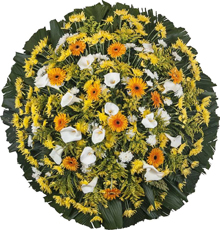 Coroa de flores  Curitiba F 